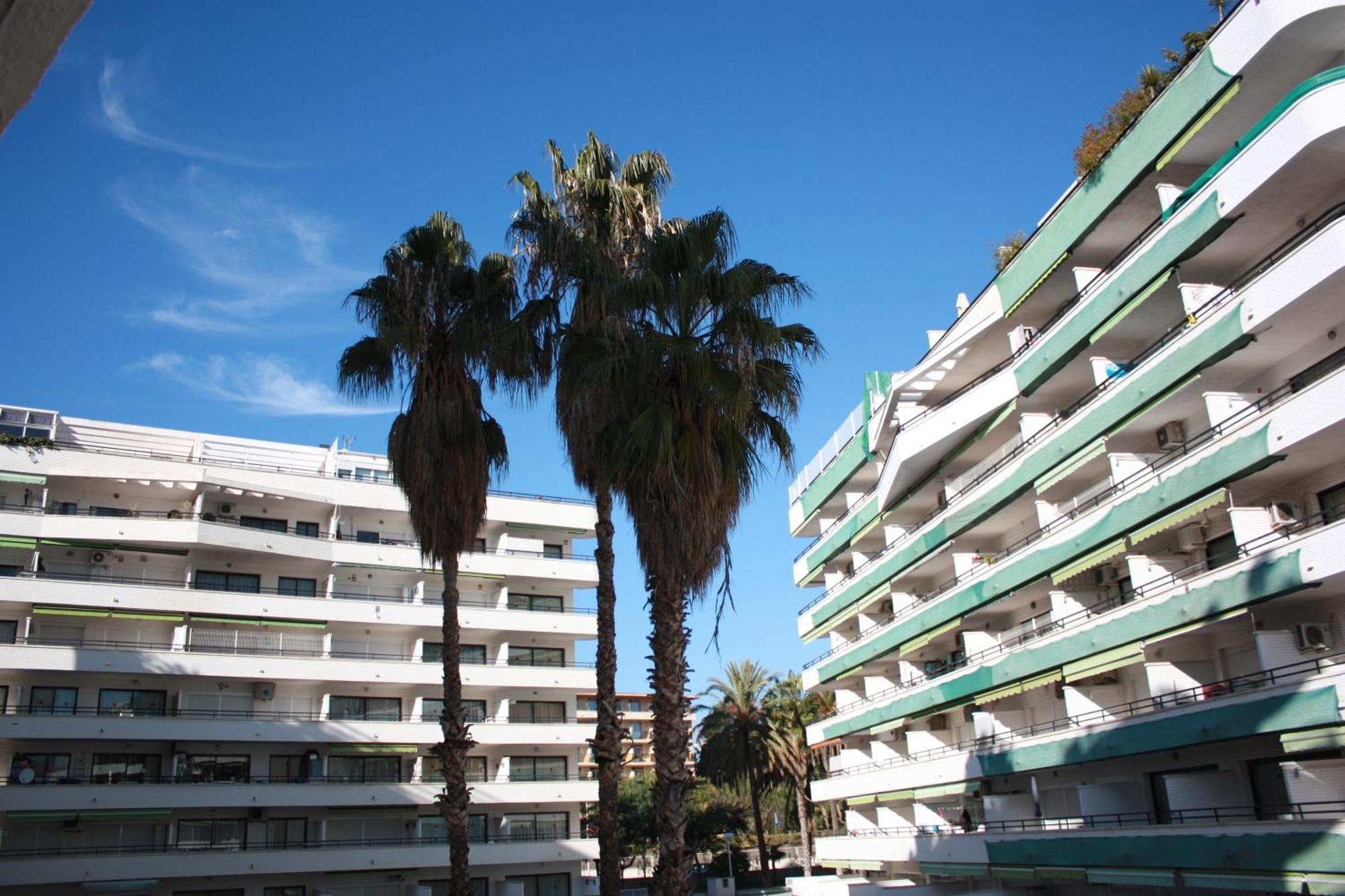 Apartamentos Aventura 萨洛 外观 照片